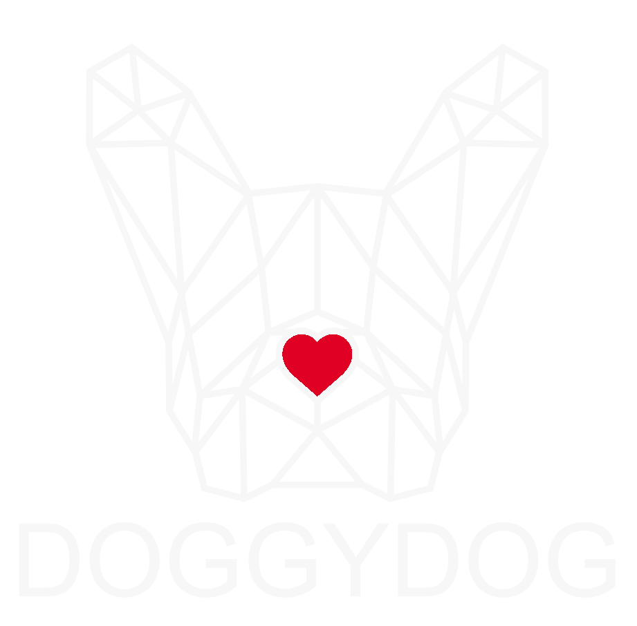 DoggyDog - szelki, obroże smycze, z sercem dla pupila!
